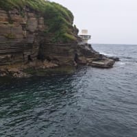 ６月３日