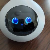 AI会話ロボット　　K猫