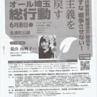「九条壊すな　戦争させない　立憲主義を取り戻す」第１４回２０２５オール埼玉総行動