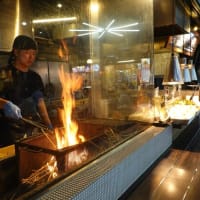 1233　高知（高知県）よさこいの街から終夜バスで帰る