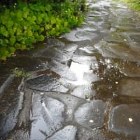 雷雨