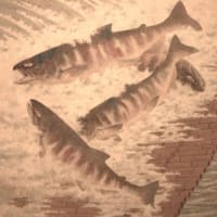 第80回春の院展訪問　感想