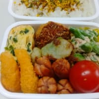 2025.5.13(火)~15(木)のお弁当とビビンバ丼とさくらポーク