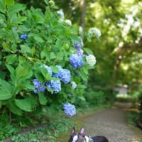 エアコンとヒータ―の関係