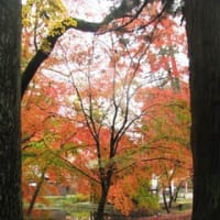 世界遺産 平泉中尊寺の見返り美人と見返り爺