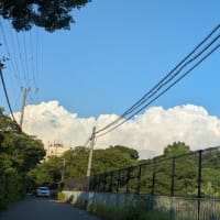 夏やなあって感じ