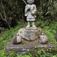 「由布川峡谷探検ツアー」に参加しました、その２。