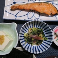 田舎定食・・・さっぱりごはん味噌汁は毎日摂ろう・・・日本の味。