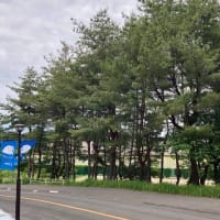 2025年5月のお休み予定