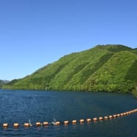 徳地の佐波川関水