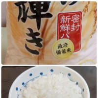 備蓄米炊きました