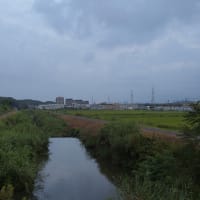 ❶朝のお写んぽ　8/5