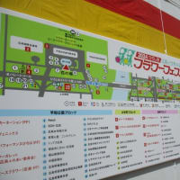 広島フラワーフェスティバル、開幕です！今日から５月５日のこどもの日まで平和大通りが盛り上がります！
