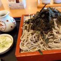 6月なのに「夏だ!?暑いぞ!!冷たい蕎麦だぁぁ!!」