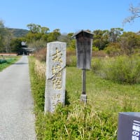 大宰府市の散策記　on　2025-4-9＆4-10　その6 　戒壇院