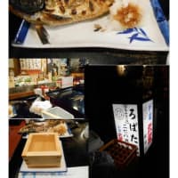 散策(食事編564)　｢東京中心南－736｣   炉端 武蔵 新橋烏森口店