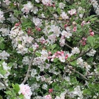 4月の英国