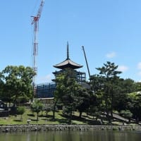 興福寺五重塔　令和大修理、始まる