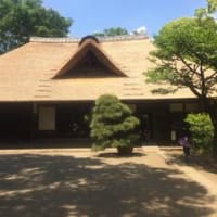 小金井公園♪