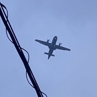 空を見上げた