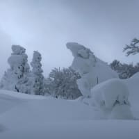 氷ノ山のモンスターに会いに