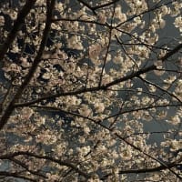 リホームを考えています