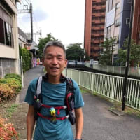 東京100kmチャレンジ