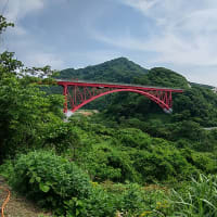 数年ぶりに米山をぐるっと一周走ってきた・・・