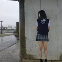 継続しています