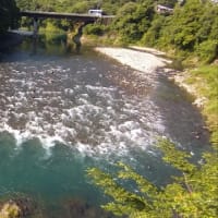 今日の那賀川上流