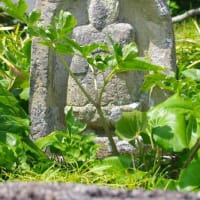 宮内町の田の神他