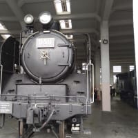 京都鉄道博物館で鉄ちゃんに変身