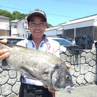 濁り