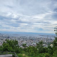 今日も高い所へ　和歌山県の山脈だよね　単身赴任747日目