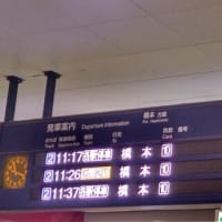 今日のおでかけ