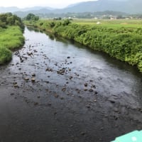 川の水