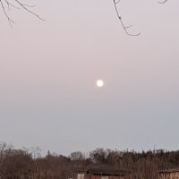 夕暮れに月は登りますね