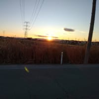 老体に鞭打って