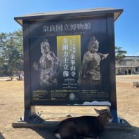 そして “奈良”