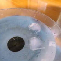 「猫と人の暑さ対策」