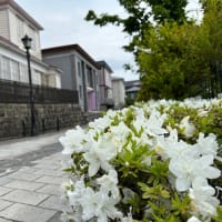 青森・函館の休日〜4