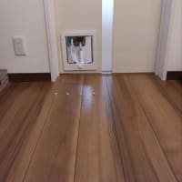 猫ドア