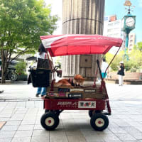 大丸に行けば、その帰り・・・。