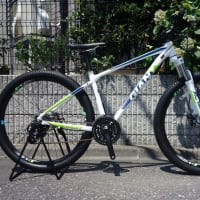 GT MTBチタンフレーム 「シャイザン」 - セオサイクル南浦和店 GT MTBチタンフレーム 「シャイザン」 - セオサイクル南浦和店