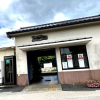駅とビーガン