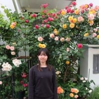 24/5/14 　ムサジャパン：レイカちゃんを招待して「バラを見る会」開催しました