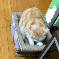 縁