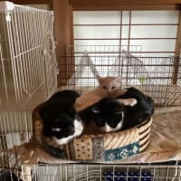 歳をとったな