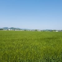 悔い改め（ヨハネ６章）