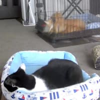 何度もかいくぐる